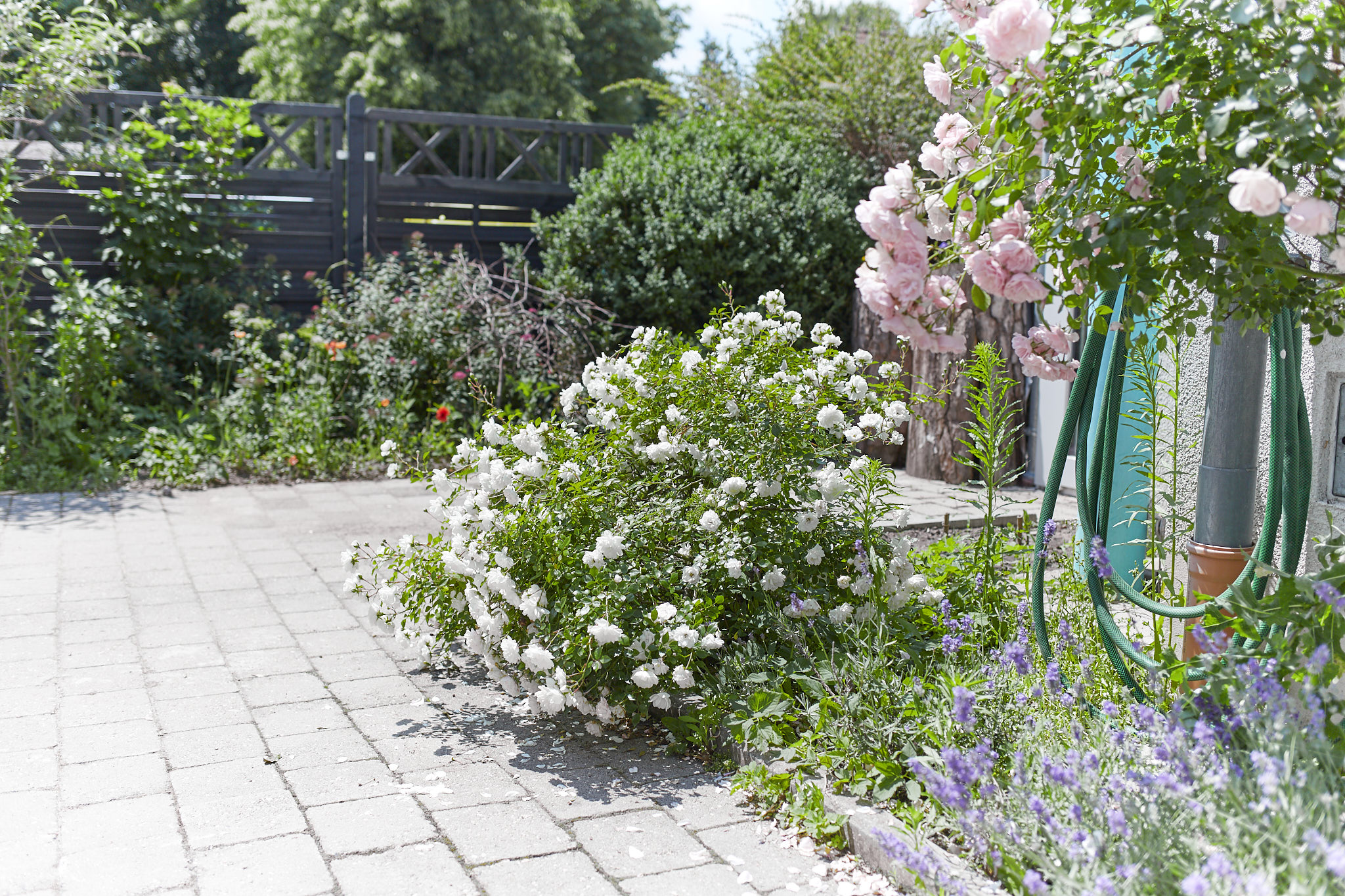 Liebevoll gestalteter Garten mit Rosen